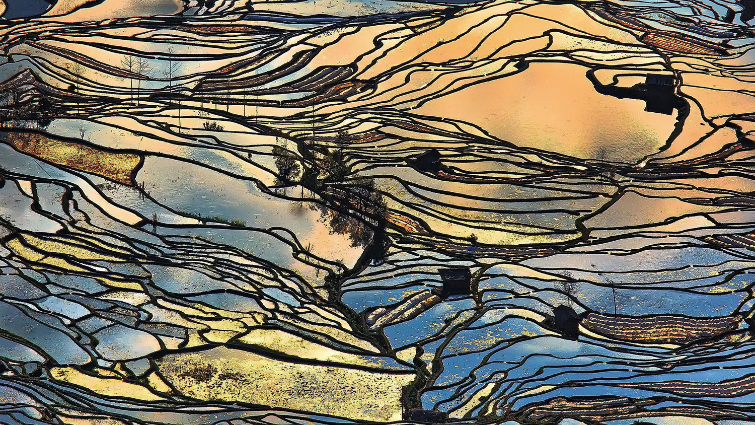 "Rice field" от Tang Pui Yee с PL-фильтром